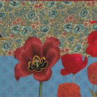 Puppenschrank "Vögel im Mohnbeet"  