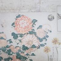 Vögel im japanischen Garten