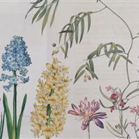 Ein Frühlingsmorgen   