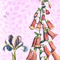 Puppenschrank "Frühling im Garten"