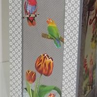 Puppenschrank "Papageien" 